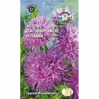 Астра Сапфировое пламя, семена изображение 18