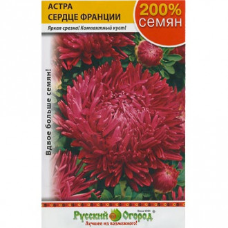 Астра Сердце Франции, семена изображение 10