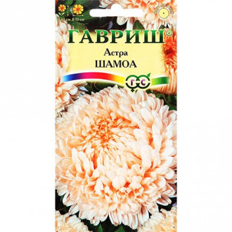 Астра Шамоа, семена изображение 13