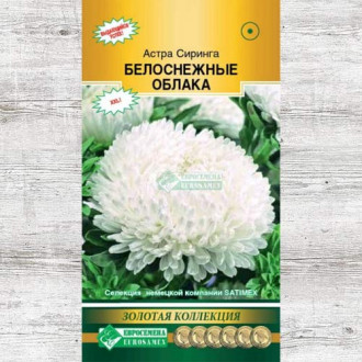 Астра Сиринга Белоснежные облака изображение 15