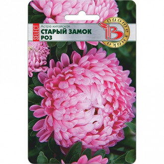 Астра Старый замок SELECT Роз, семена изображение 14