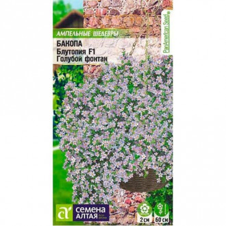 Бакопа Блютопия Голубой фонтан F1, семена изображение 16