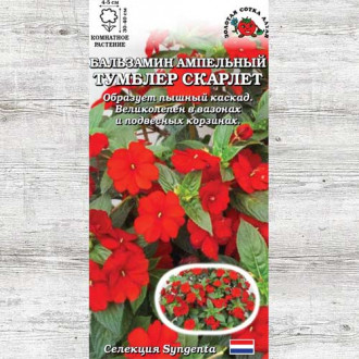Бальзамин Тумблер Скарлет F1 изображение 9