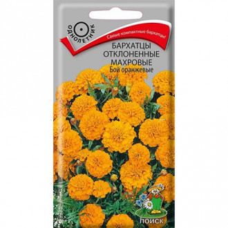 Бархатцы Бой оранжевые, семена изображение 14