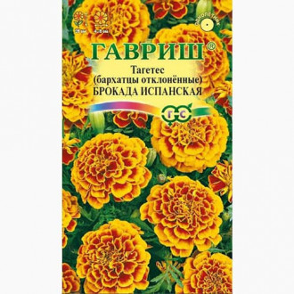 Бархатцы отклоненные (тагетес) Брокада испанская Гавриш изображение 4