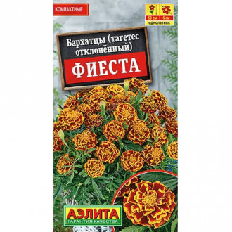 Бархатцы отклоненный (тагетес) Фиеста Аэлита изображение 5