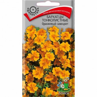 Бархатцы тонколистные Оранжевый самоцвет Поиск изображение 18