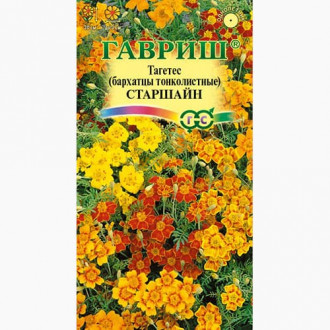 Бархатцы тонколистные (тагетес) Старшайн Гавриш изображение 6