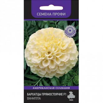 Бархатцы Ванилла F1, семена изображение 11