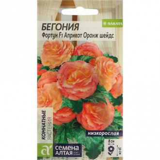 Бегония Фортун Априкот Оранж Шейдс, семена изображение 13
