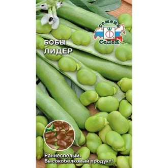Бобы Лидер, семена изображение 14