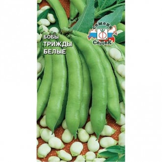 Бобы Трижды белые, семена изображение 13