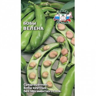 Бобы Велена, семена изображение 17