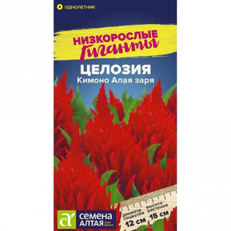 Целозия перистая Кимоно Алая заря, семена изображение 12