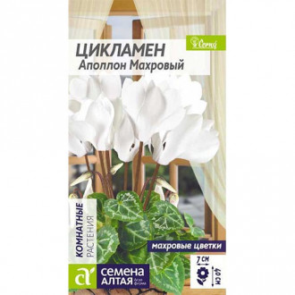 Цикламен махровый Аполлон, семена изображение 6