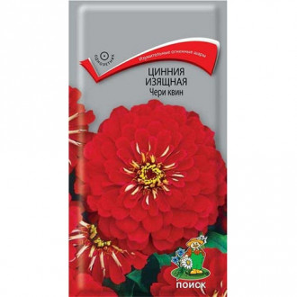 Цинния Чери Квин, семена изображение 14