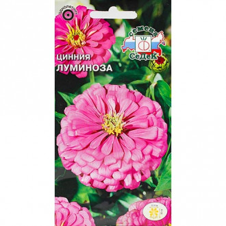 Цинния Луминоза, семена изображение 16