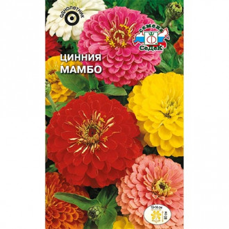 Цинния Мамбо, смесь окрасок изображение 12