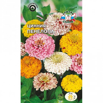 Цинния Пенелопа, смесь окрасок изображение 13