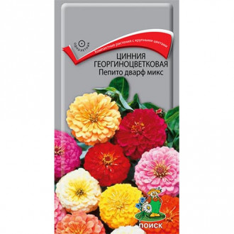 Цинния Пепито Дварф, смесь окрасок изображение 13