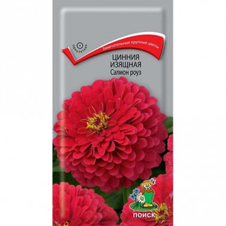 Цинния Салмон Роуз, семена изображение 9