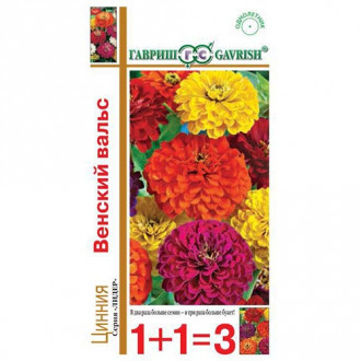 Цинния Венский вальс, смесь окрасок изображение 10