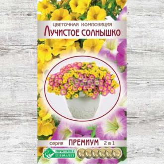 Цветочная композиция Лучистое солнышко, смесь окрасок изображение 3