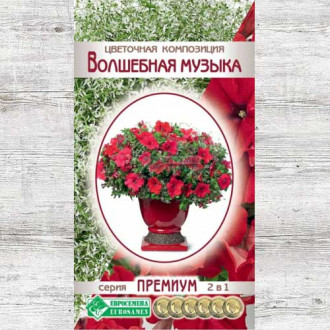 Цветочная композиция Волшебная музыка, смесь окрасок изображение 3