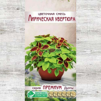 Цветочная смесь Лирическая увертюра, смесь окрасок изображение 16