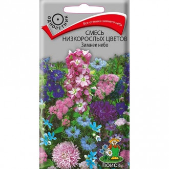 Декоративная смесь Зимнее небо, смесь окрасок изображение 12