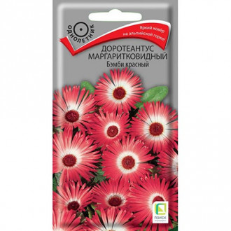Доротеантус маргаритковидный Бэмби красный, семена изображение 3