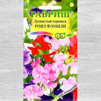 Душистый горошок Роял Фэмили, смесь окрасок изображение 14