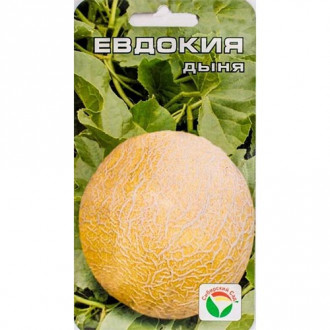 Дыня Евдокия, семена изображение 12