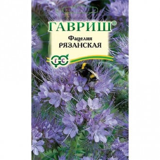 Фацелия Рязанская (сидерат), семена изображение 3
