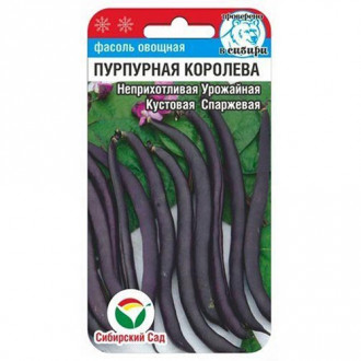 Фасоль спаржевая Пурпурная Королева Сибирский сад изображение 7