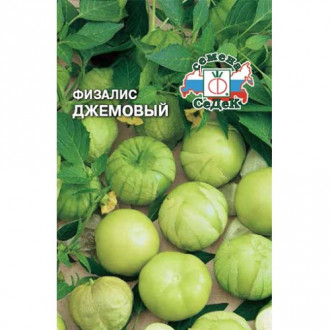 Физалис овощной Джемовый, семена изображение 6