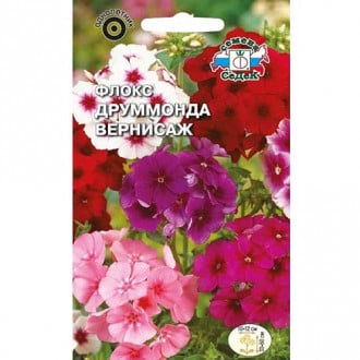 Флокс Друммонда Вернисаж, смесь окрасок изображение 13