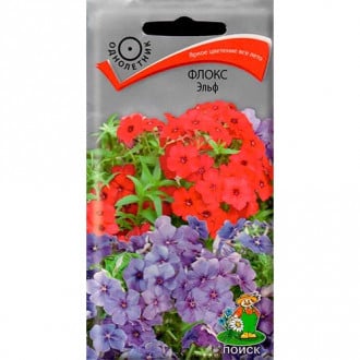 Флокс Эльф, смесь окрасок изображение 13