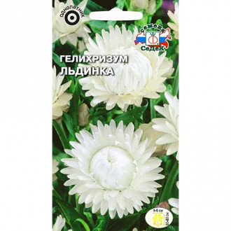 Гелихризум Льдинка, семена изображение 9