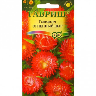 Гелихризум Огненный шар, семена изображение 18
