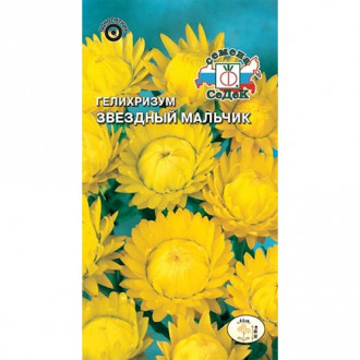 Гелихризум Звездный мальчик, семена изображение 15