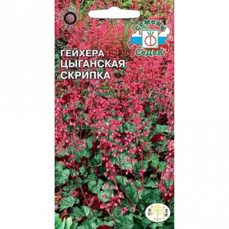 Гейхера Цыганская скрипка, семена изображение 8