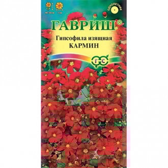 Гипсофила Кармин, семена изображение 18