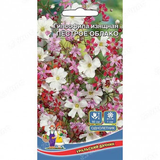 Гипсофила Пестрое облако, семена изображение 17