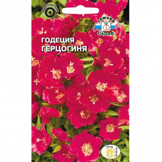Годеция Герцогиня, семена изображение 7