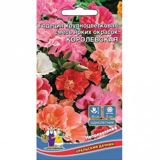 Годеция Королевская, смесь окрасок изображение 12