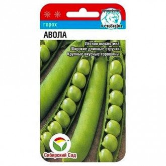 Горох Авола, семена изображение 11