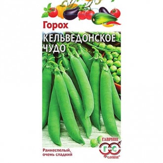 Горох Кельведонское чудо, семена изображение 12