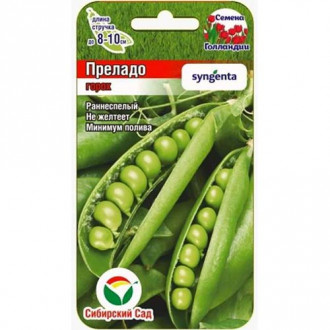 Горох Преладо, семена изображение 7