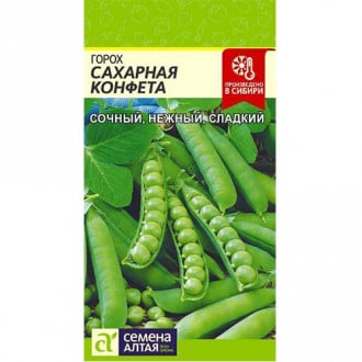Горох Сахарная конфета, семена изображение 8